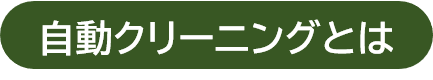 自動クリーニングとは